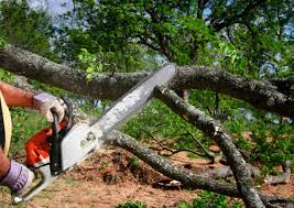 Lawn Irrigation Installation and Maintenance in Hebbronville, TX